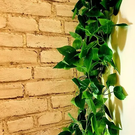 Sky Level Loft סיירה נבדה