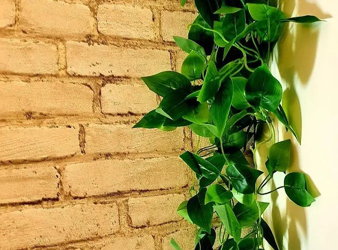 Sky Level Loft Σιέρρα Νεβάδα